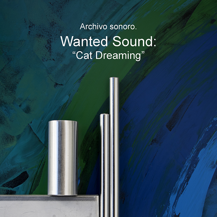 imagen 63. wanted sound